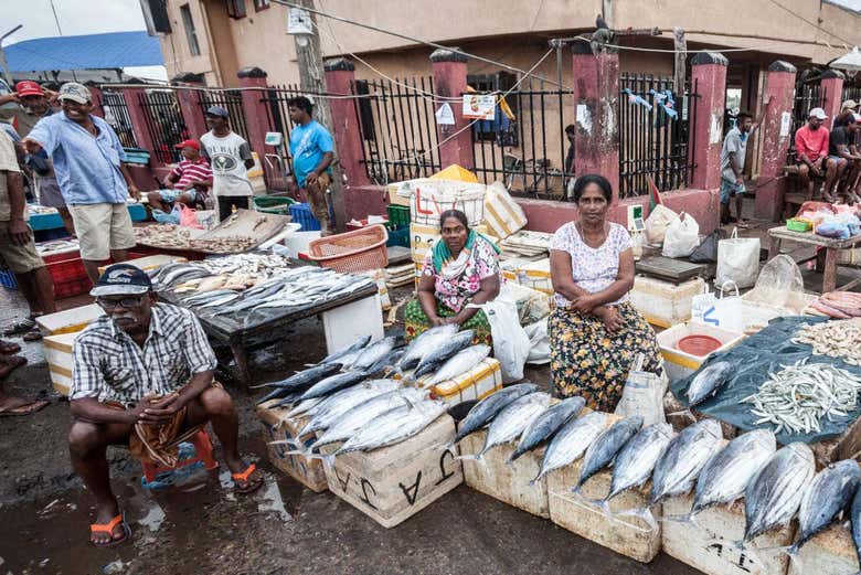 Mercado de pescado de Negombo