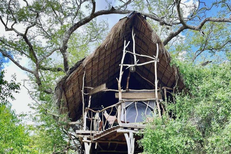 Safari por el Parque Nacional de Wilpattu