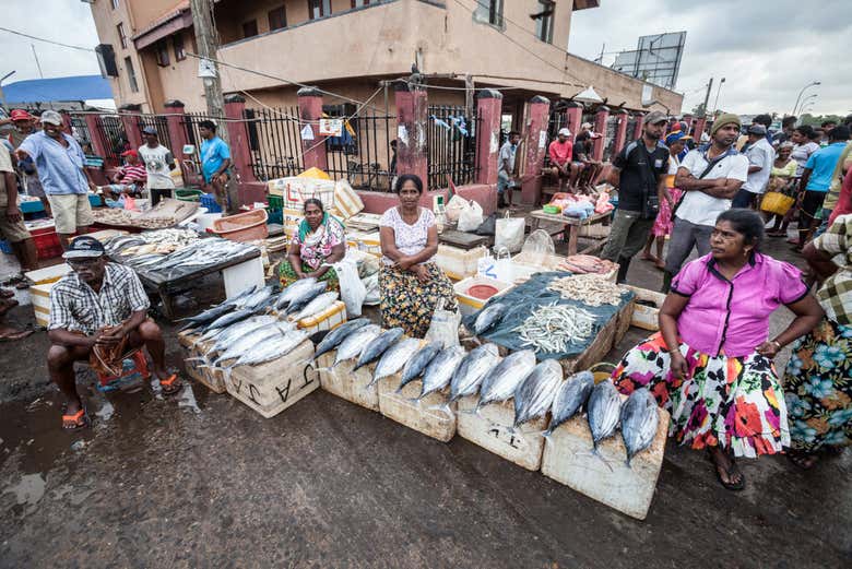 Mercado de peixe em Negombo