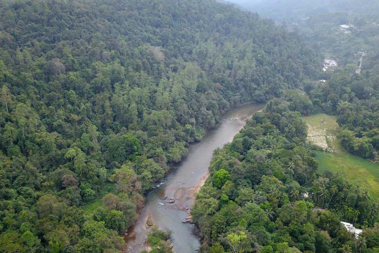 Vista de los frondosos alrededores del río Kelani