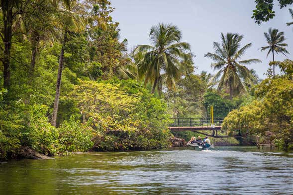 Balade en kayak sur le lac de Negombo