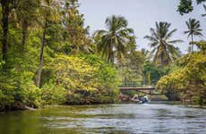 Tour en kayak por el lago de Negombo