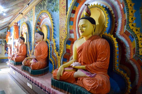 Tour privato di Negombo