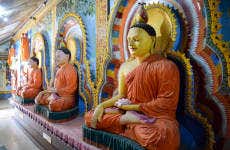 Tour privato di Negombo