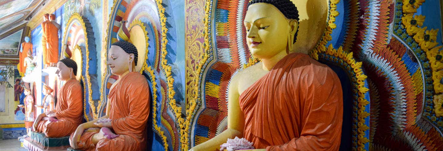 Visitas guiadas y free tours en Negombo