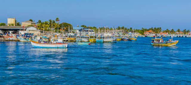 Negombo Tuk Tuk Tour + Boat Trip