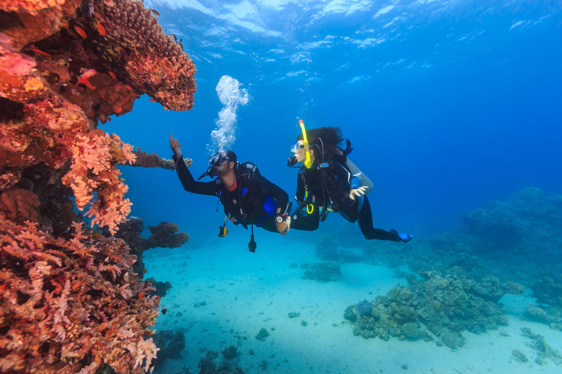 Nilaveli Beginner's Diving