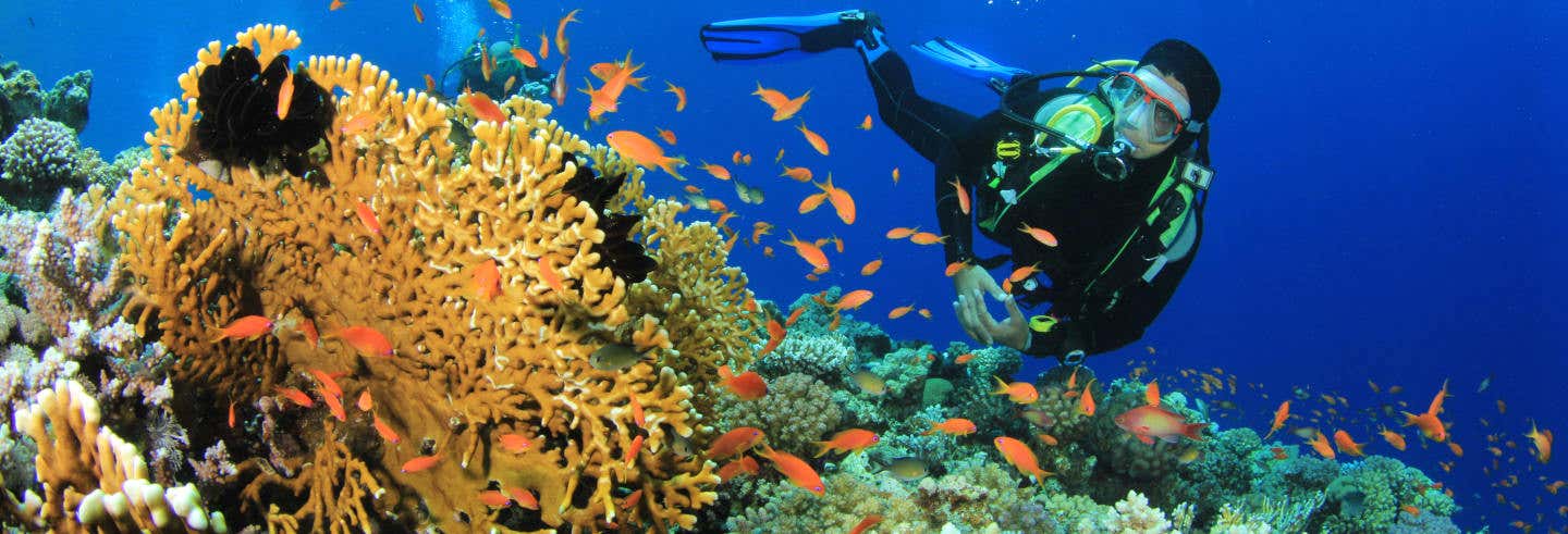 Plongée à Nilaveli