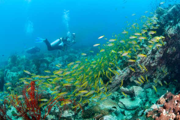 PADI Advanced Open Water Diver Course