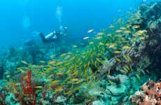 PADI Advanced Open Water Diver Course