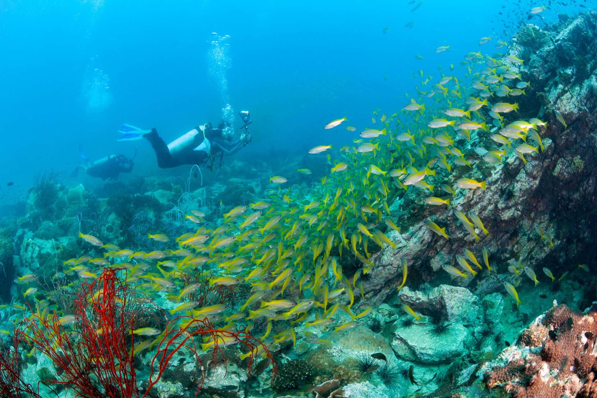 Curso PADI Advanced Open Water Diver