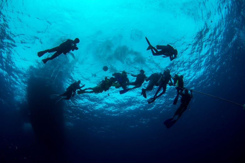 Group diving