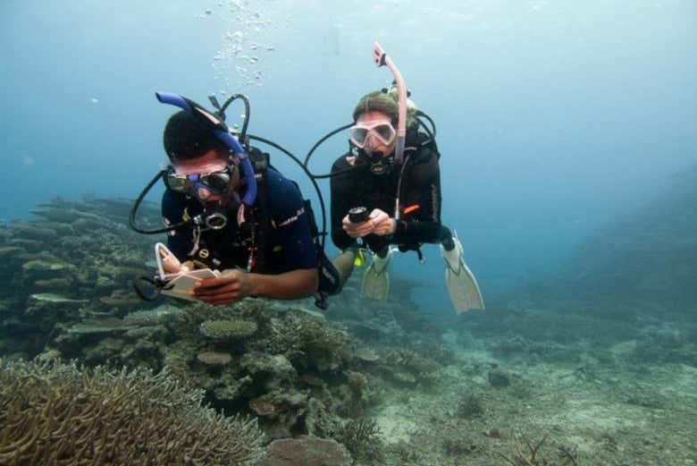Underwater navigation