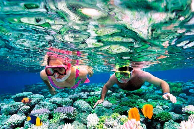 Practicando snorkel
