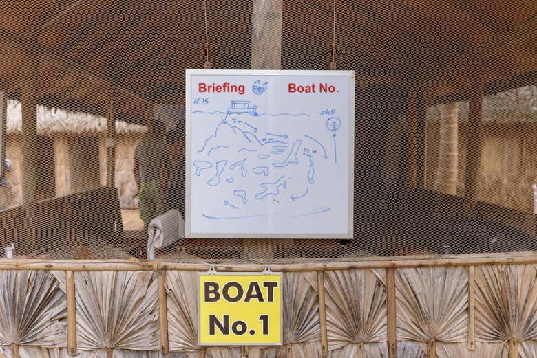 Planificando la inmersión