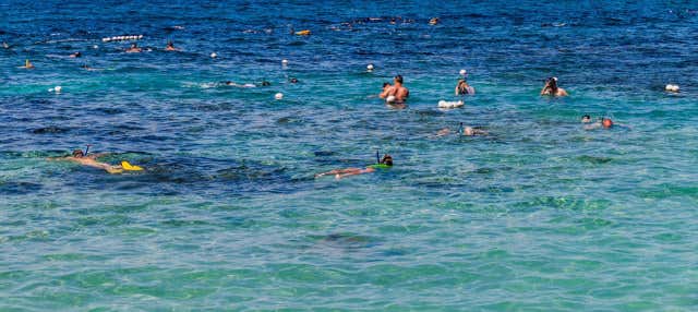 Snorkel em Pigeon Island