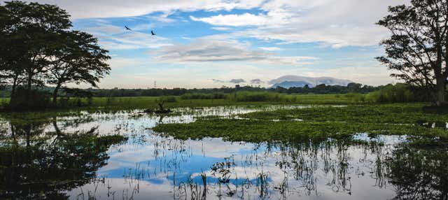 Excursión a Habarana