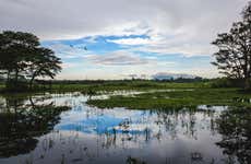 Excursão a Habarana