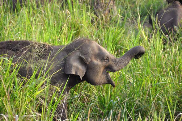 Private Hurulu Eco Park Safari