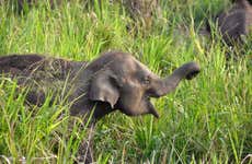 Private Hurulu Eco Park Safari