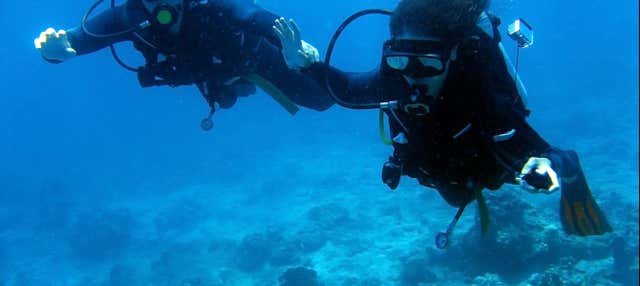 Curso de buceo PADI Open Water