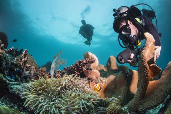 PADI Advanced Open Water Diving Course