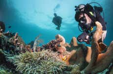 PADI Advanced Open Water Diving Course