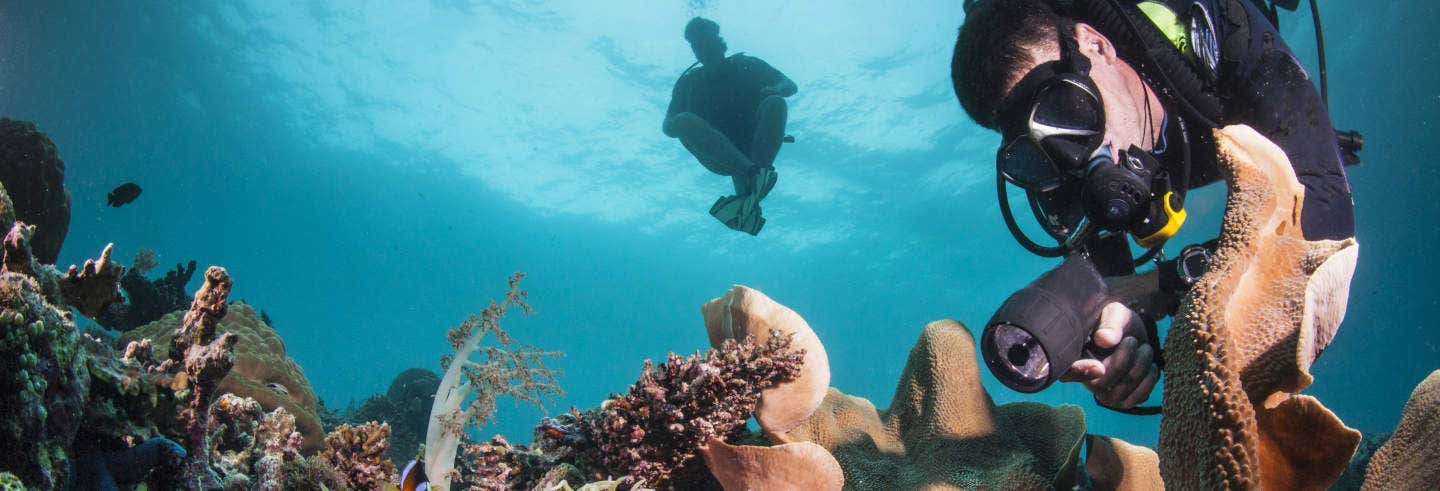 Immersioni a Trincomalee