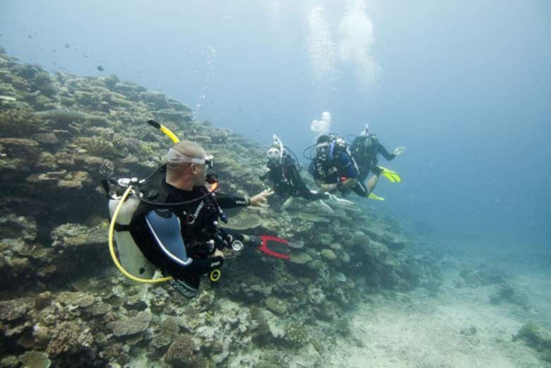 Immersione per principianti a Trincomalee
