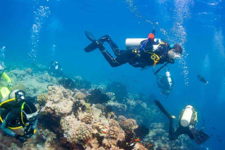 Durante l'immersione per principianti a Trincomalee