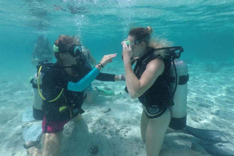 Reviewing the basic techniques