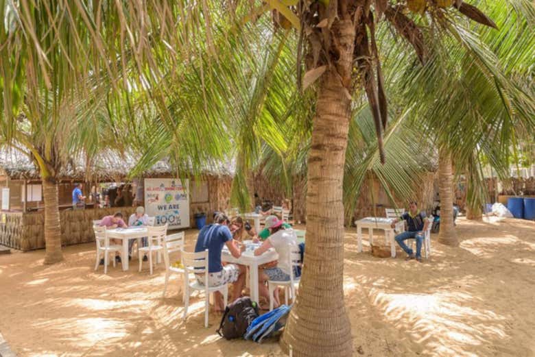 Clases de teoría en la playa