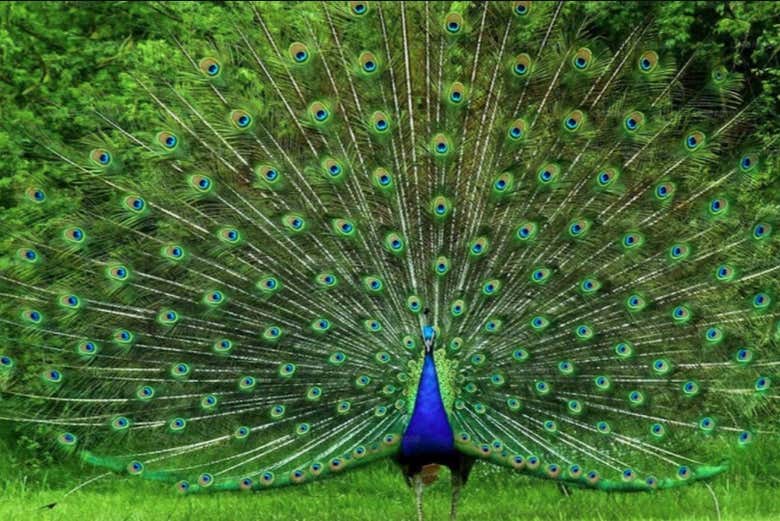 Visite du parc national