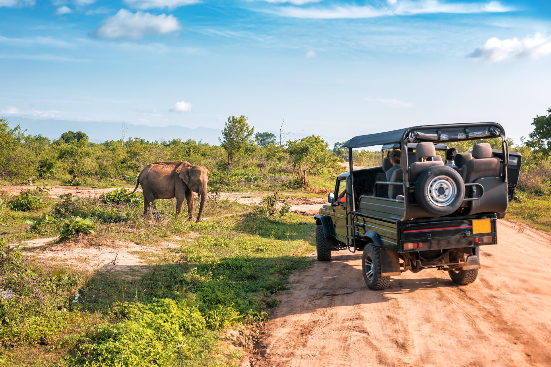 udawalawe safari jeep