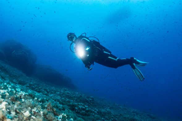Buceo en Unawatuna