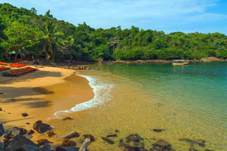 Jungle beach