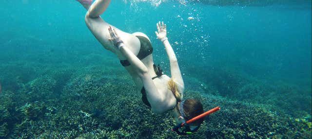 Snorkel en Unawatuna