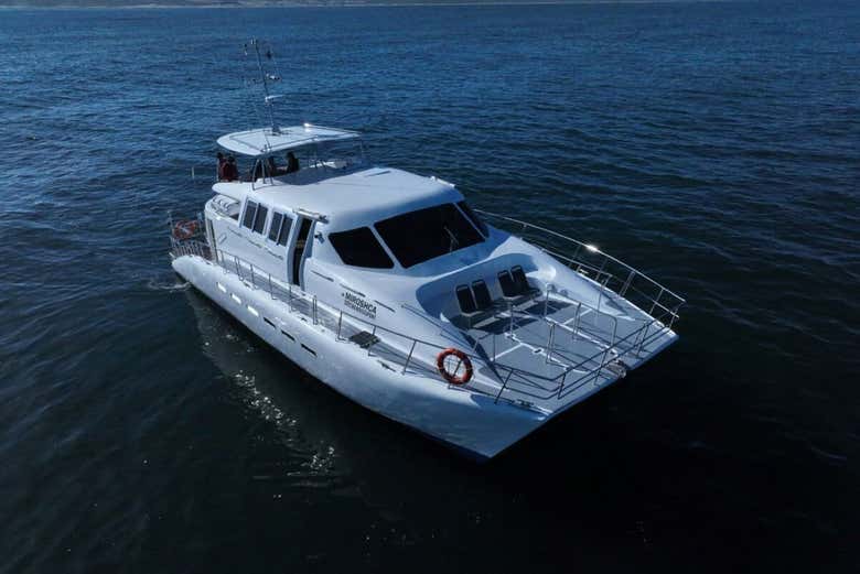 Bateau dans le port de Gansbaai