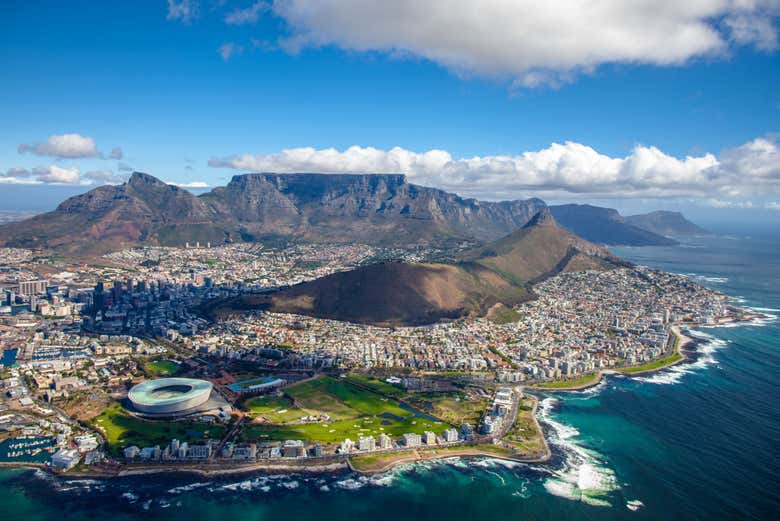 Cabeza de León sobre Ciudad del Cabo