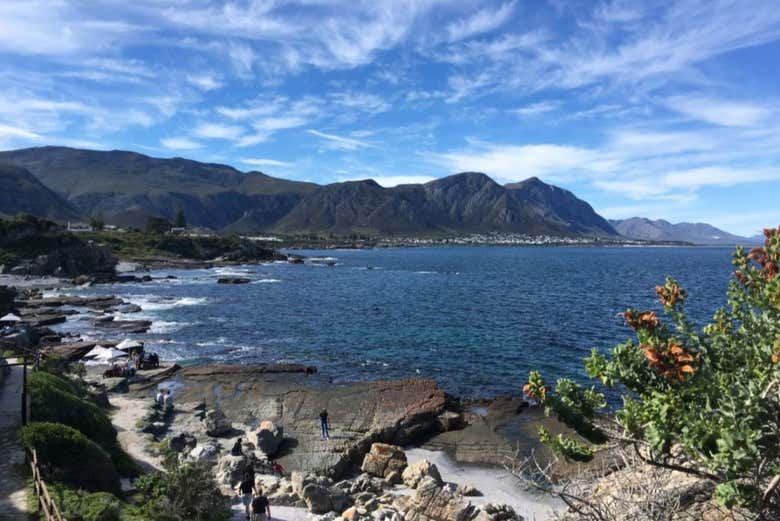 Le magnifique littoral du Cap