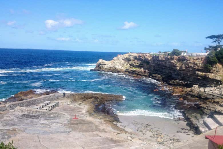 Visite du littoral du Cap