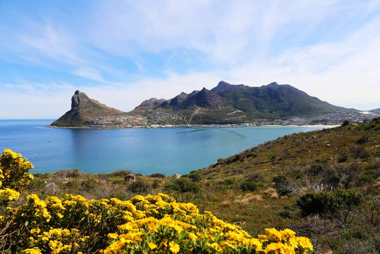 Costa de Hout Bay, en Ciudad del Cabo