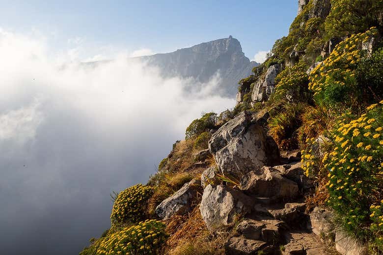 Paisajes de Cabeza de León