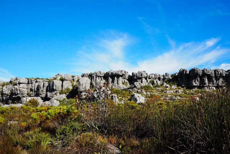Paisajes de las gargantas de los Esqueletos
