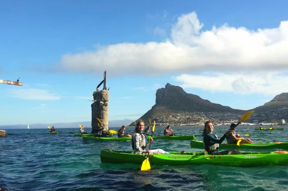 Cape Town Kayak Tour
