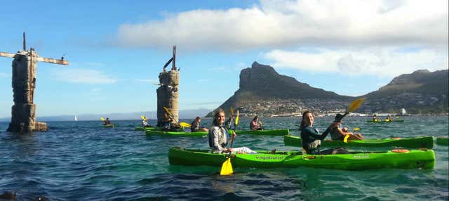Cape Town Kayak Tour
