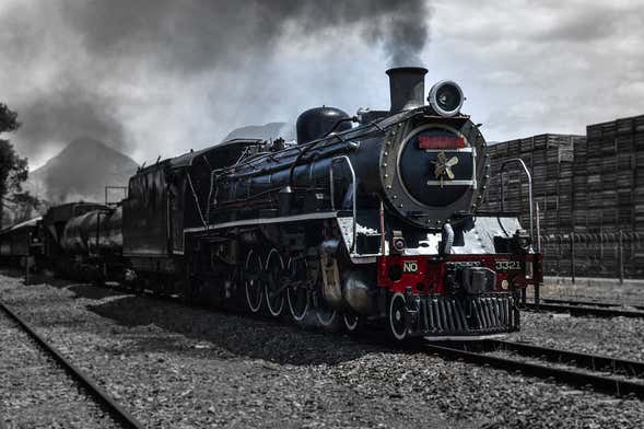 Steam Train to Elgin Railway Market