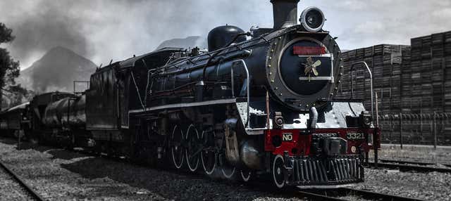Steam Train to Elgin Railway Market