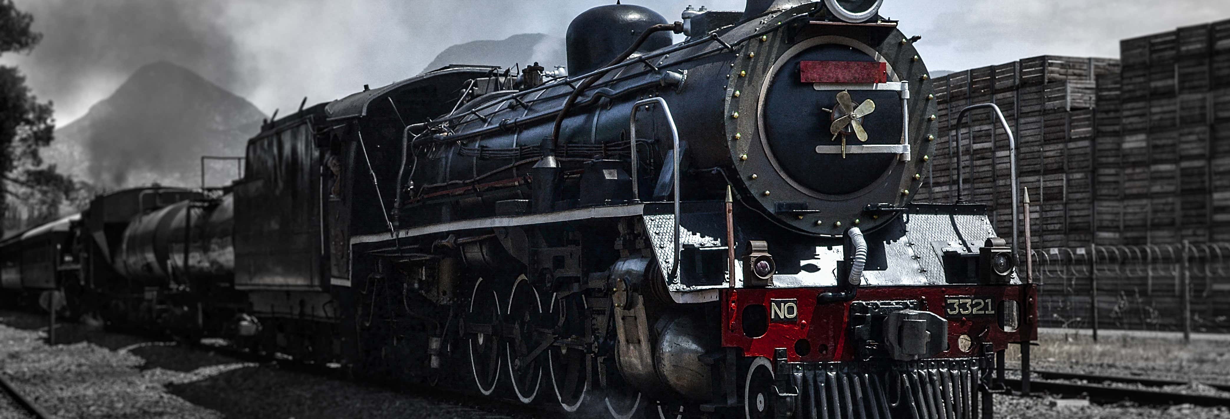 Excursiones de un día en Ciudad del Cabo