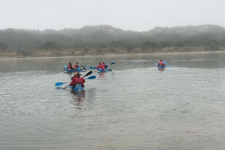 Tour en kayak por el río Sundays